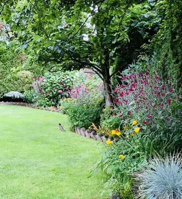 a garden with colorful flowers and a tree at Richmond Garden Retreat in Richmond