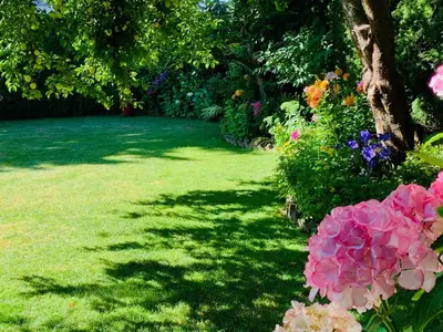 a green yard with flowers and a tree at Richmond Garden Retreat in Richmond