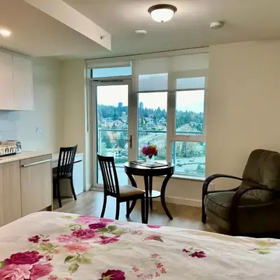 New condo near Lougheed Mall & SFU