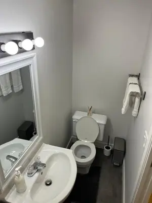 a bathroom with a sink and a toilet and a mirror at Cozy Escape in the City in Port Coquitlam