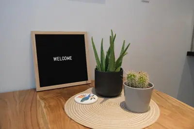 two potted plants sitting on top of a table at Whistler Village 2BR 2BA Top-Floor Condo with Hot Tub and Parking in Whistler