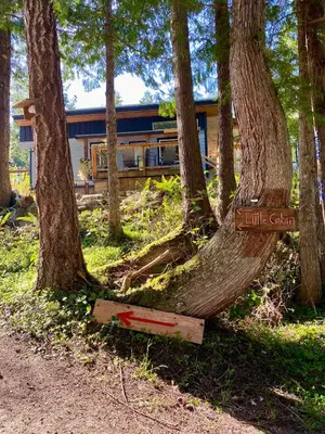 a tree that has been uprooted by a house at Little Cabin in Middlepoint in Halfmoon Bay