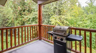 a grill on a screened in porch with trees at Stone Creek Chalet by Fernie Lodging Company in Fernie