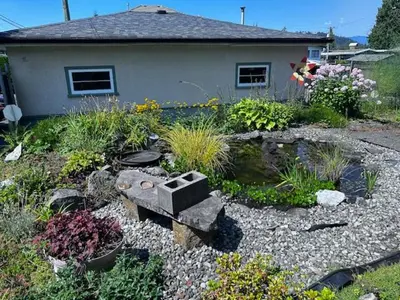 a garden in front of a house at Upper floor suite with Garden view near SFU & Skytrain in Coquitlam