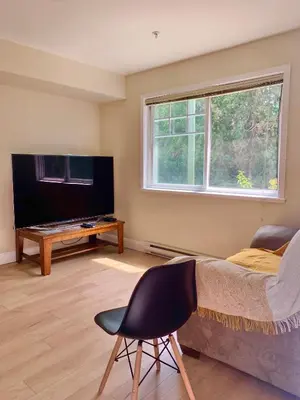 a bedroom with a bed and a tv and a chair at Entire 1Bed 1Bath Suite Coquitlam Centre in Port Coquitlam