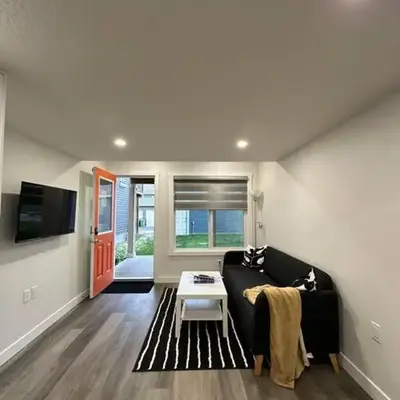 The Urban Nest