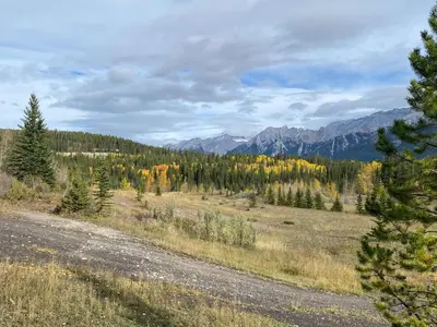 a dirt road in a field with trees and mountains at Premium King suite with views and pool in Canmore