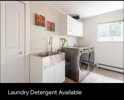 a kitchen with a sink and a washing machine at The Oxford Signature Luxury Entire Family Suite in Coquitlam
