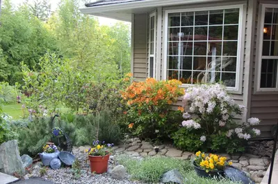 a garden with flowers in front of a house at Selah Retreat Guesthouse B&B in Sorrento
