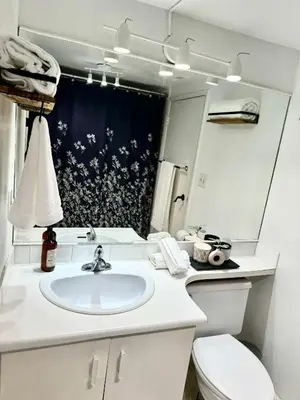 a bathroom with a sink and a toilet and a mirror at Bright Garden Suite Across From Park in Kitsilano in Vancouver