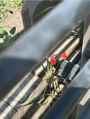 a plant in a wooden fence with a red object at Highland Park Upper Suite in Calgary