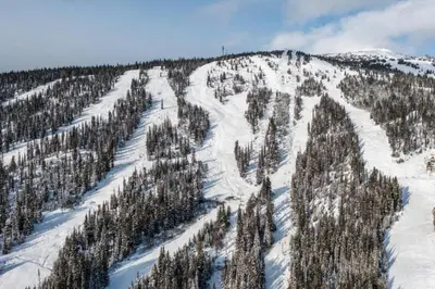 an aerial view of a snow covered mountain with trees at Winter Escape On Perfection - Ski In Out, Pool & Hot Tub in Big White
