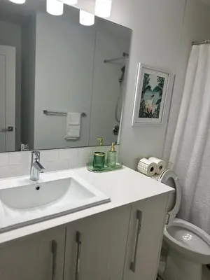 a bathroom with a sink and a toilet and a mirror at A Cozy Private Suite in Rangeview, SE Calgary in Calgary