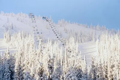 a snow covered hill with trees and a ski lift at The Lifty Ski-In Ski-Out Studio, Pool and Gym in Big White