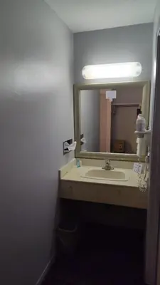 a bathroom with a sink and a mirror at Metro Inn in Calgary