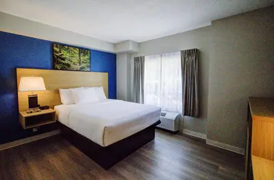 a hotel room with a bed and a window at Baymont by Wyndham Gold River in Gold River