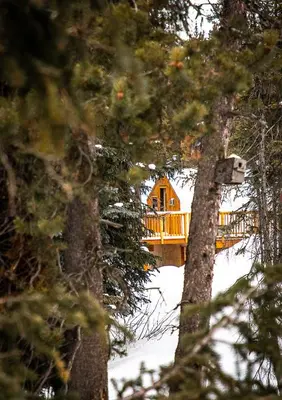 a wooden house in the snow with trees at Mount Engadine Lodge in Kananaskis Village