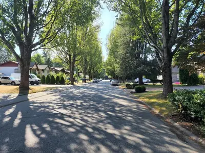 a tree lined street in a residential neighborhood at A new luxury basement apartment in Surrey