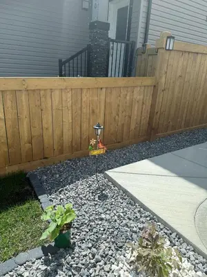 a fence in front of a yard with some plants at 2 Bedroom Basement Suite in Edmonton