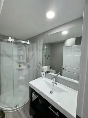 a bathroom with a shower and a sink and a mirror at 2 Bedroom Basement Suite in Edmonton