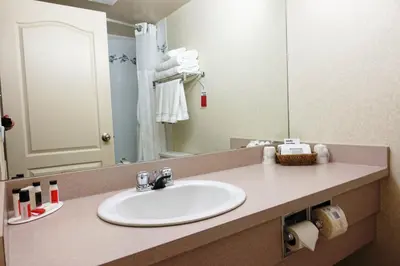 a bathroom with a sink and a mirror at Gold Circle Inn in Lloydminster