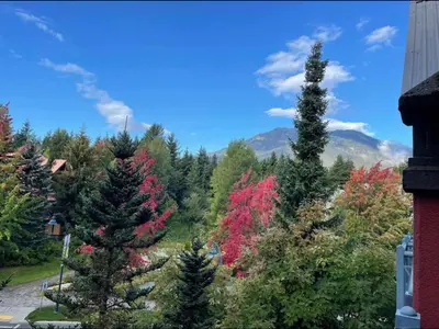 a view of a forest of trees with mountains in the background at Ideal Central Village Location! in Whistler
