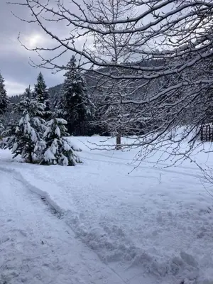 a snow covered field with trees and a road at Lofted log cabin with fire table in Kelowna