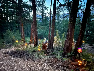 a group of lights in the woods with trees at Butterfly Cottage - Glamping in Oliver