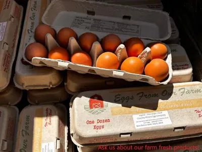 a bunch of eggs in boxes on a shelf at Butterfly Cottage - Glamping in Oliver