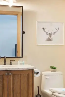 a bathroom with a toilet and a sink and a mirror at Large Village loft with Private Hot Tub and Private Sauna in Whistler