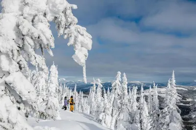 two people standing on a snow covered mountain with snow covered trees at Powder Heights #25 home in Sun Peaks