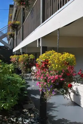 a bunch of flowers hanging from the side of a building at Pacific Rim Motel in Ucluelet