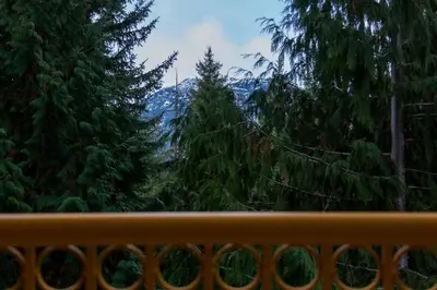 a view of a forest of trees from a window at 1BR next to slopes on Blackcomb w pool & hot tub in Whistler