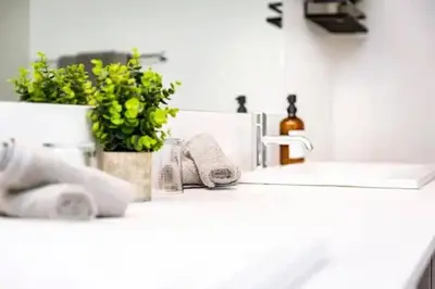 a bathroom counter with a sink with towels and plants at Lucid Lemming in Revelstoke