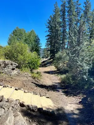 a dirt trail with trees on the side of a hill at Runaway Express Coach in Oliver