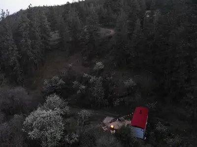 an aerial view of a house in the middle of a forest at Runaway Express Coach in Oliver