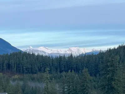 a view of a forest with snow capped mountains at Peaks & Waters at Harrison Mills in Agassiz