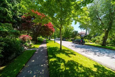 a tree lined street with a car parked on the road at Cozy three bedroom House in Vancouver West in Vancouver