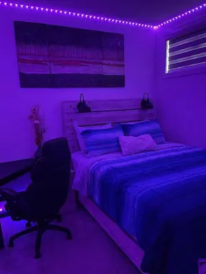 a purple bedroom with a bed and a chair at Modern 2 bedroom guest suite in Calgary