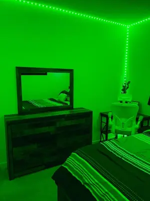 a green room with a bed and a mirror at Modern 2 bedroom guest suite in Calgary