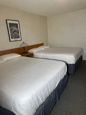 two beds in a hotel room with white sheets at Sunrise Motel in Consort