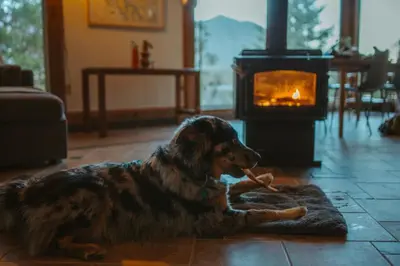 a dog laying on the floor in front of a fireplace at First Light - Waterfront, Hot tub, Sauna, EV in Tofino