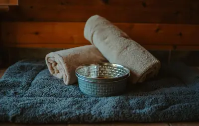 a bowl of butter and two towels on a blanket at First Light - Waterfront, Hot tub, Sauna, EV in Tofino