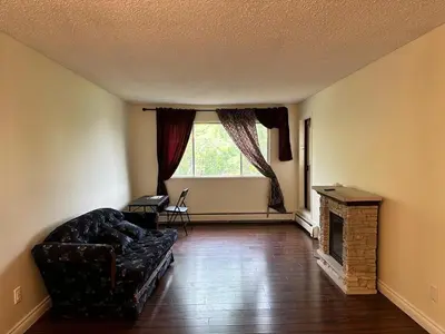 a living room with a couch and a fireplace at Cozy & bright private one-bed rm in Edmonton
