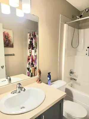 a bathroom with a sink and a toilet and a mirror at Cozy Luxury House in Edmonton