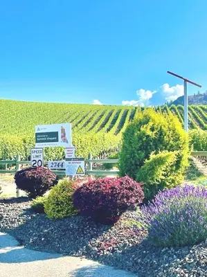 a garden with a bunch of bushes and flowers at Sandy beach Sauvignon cottage - Osoyoos escapade 3bd-2bt in Osoyoos