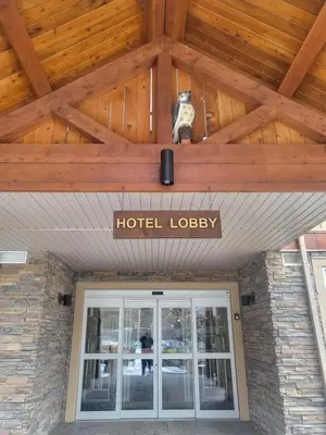 a dog is sitting on top of a hotel lobby at Falcon Crest Canmore Banff in Canmore
