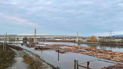 a group of boats in a river with a bridge at Spacious comfy stay in Richmond