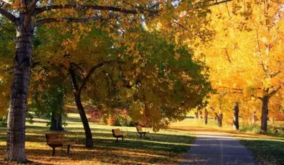 a park with benches and trees and a road at Large Family 4BR w Kid's Play Den! FREE Banff Pass in Calgary