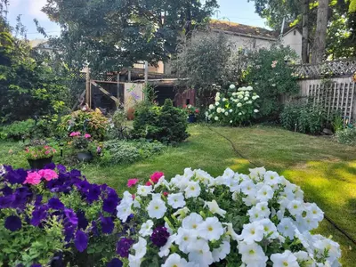 a garden with white and purple flowers in the yard at Campbell Cottage B&B in Nanaimo
